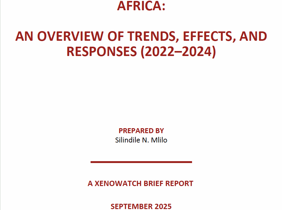 Xenophobic Discrimination in South Africa: An Overview of Trends, Effects, and Responses (2022–2024)